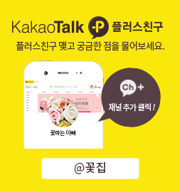 플러스친구 배너